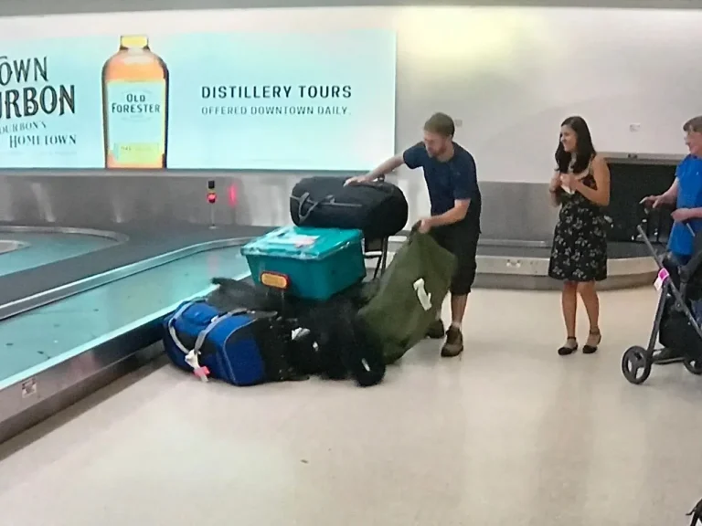 Does The Tsa Steal From Checked Luggage?
