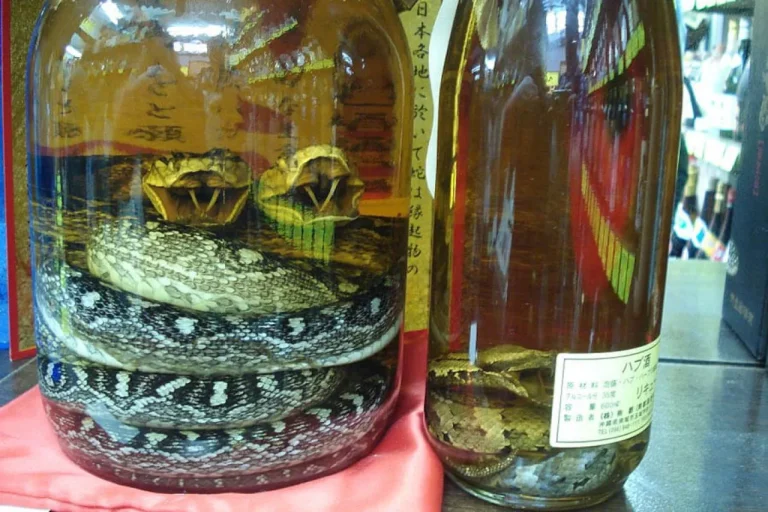 Habu Sake: The Unique Japanese Liquor Made With Venomous Snakes
