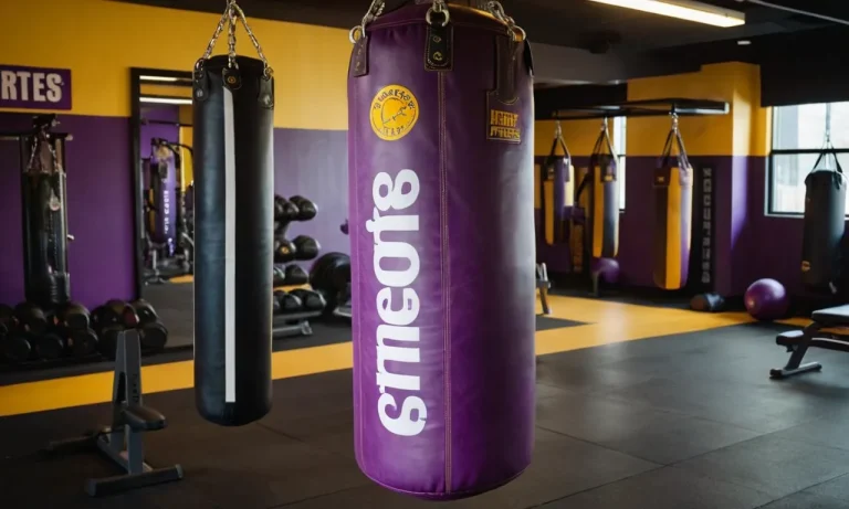 Does Planet Fitness Have Punching Bags? A Detailed Look