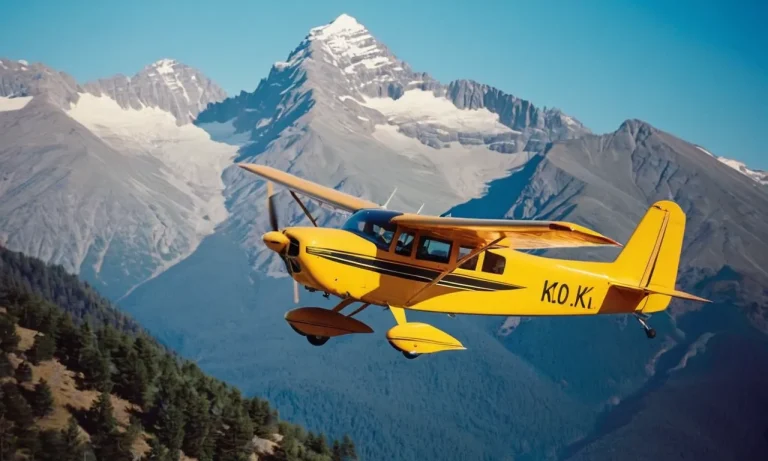 How Much Does A Bush Plane Cost? A Detailed Look At Bush Plane Prices