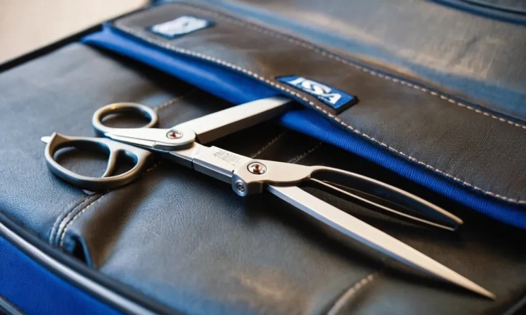 Can I Bring Scissors On A Plane? A Detailed Guide