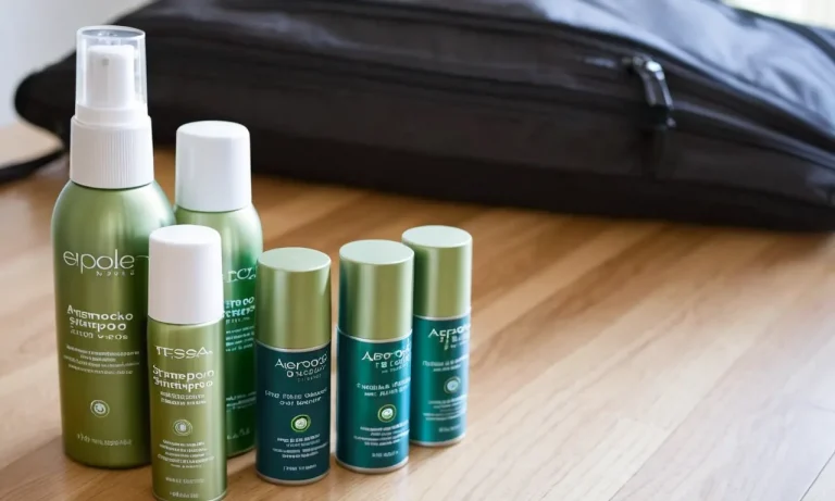 Can You Bring Dry Shampoo On A Plane? Everything You Need To Know